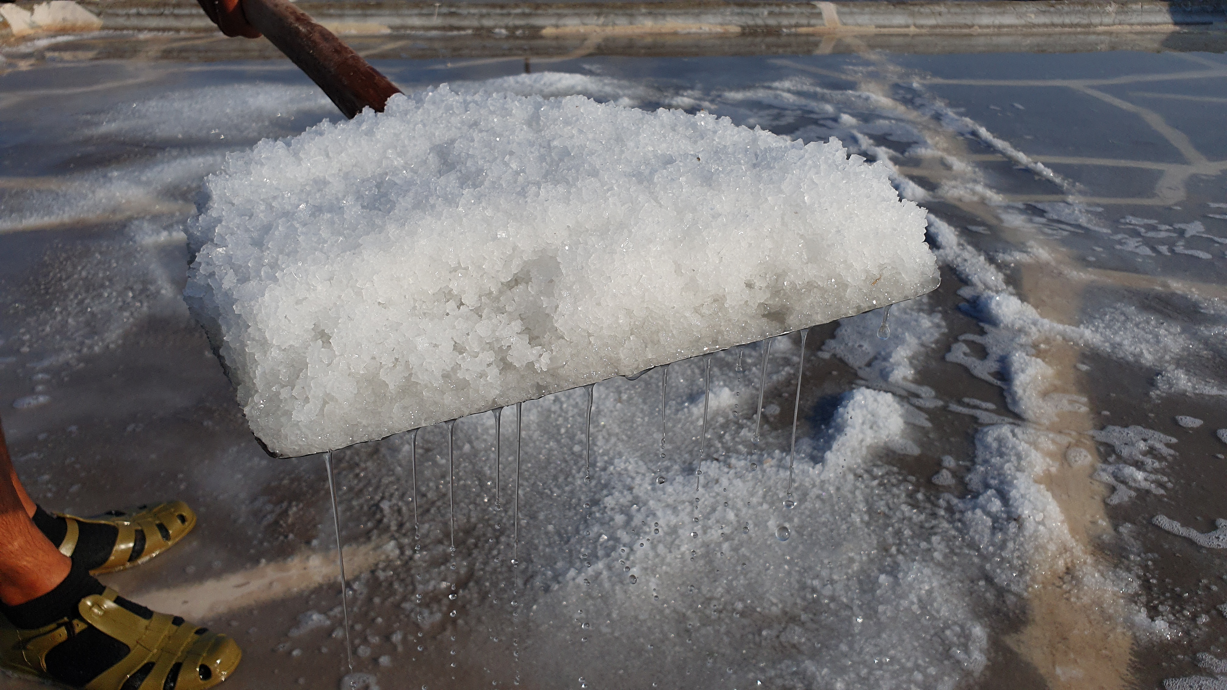 Salt of the Lebanese Sea: Anfeh's Heritage at Risk 